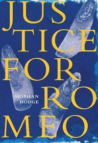 Cover image for Justice for Romeo