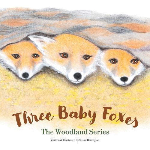 Cover image for Three Baby Foxes