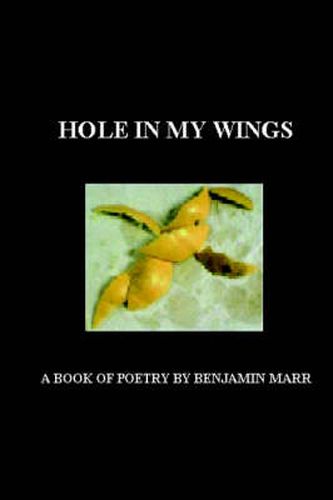 Cover image for Hole In My Wings