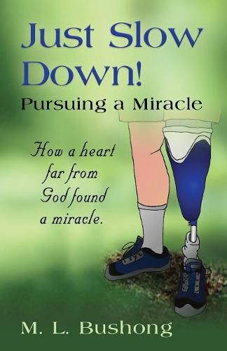 Cover image for Just Slow Down! Pursuing a Miracle