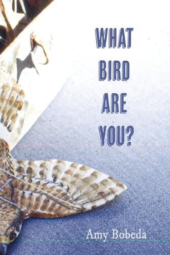 Cover image for What Bird are You
