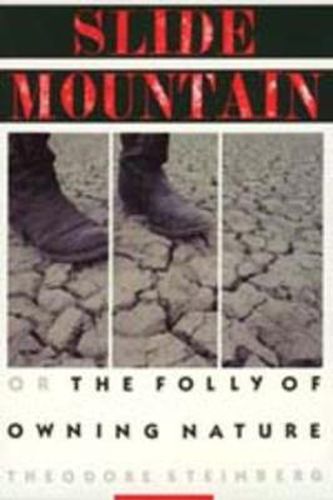 Cover image for Slide Mountain: Or, The Folly of Owning Nature