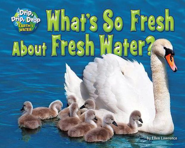 Cover image for What's So Fresh about Fresh Water?