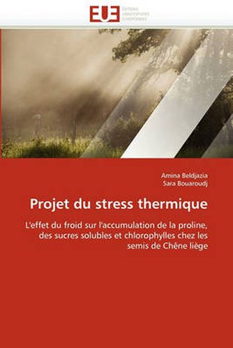 Cover image for Projet Du Stress Thermique