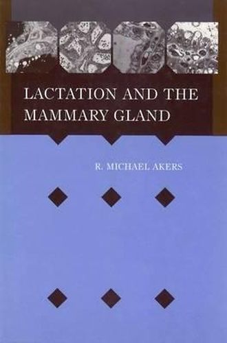 Cover image for Lactation and the Mammary Gland