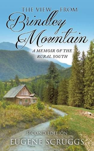 Cover image for The View from Brindley Mountain: A Memoir of the Rural South