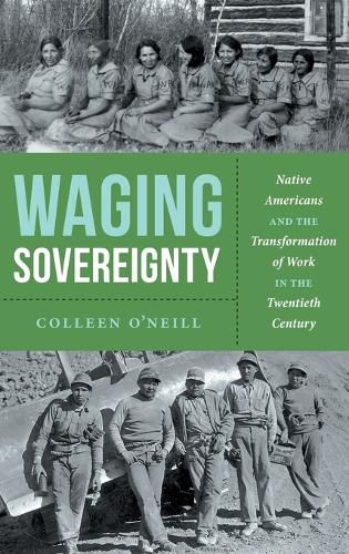 Cover image for Waging Sovereignty