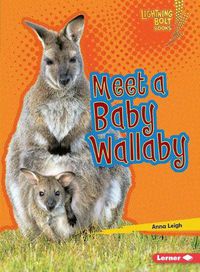 Cover image for Meet a Baby Wallaby