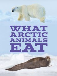 Cover image for What Arctic Animals Eat: English Edition