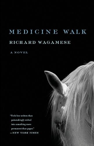 Cover image for Medicine Walk