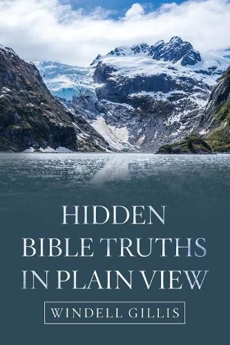 Cover image for Hidden Bible Truths in Plain View