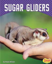 Cover image for Sugar Gliders