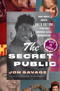 Cover image for The Secret Public