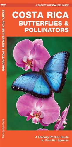 Costa Rica Butterflies & Pollinators: A Folding Pocket Guide to Familiar Species