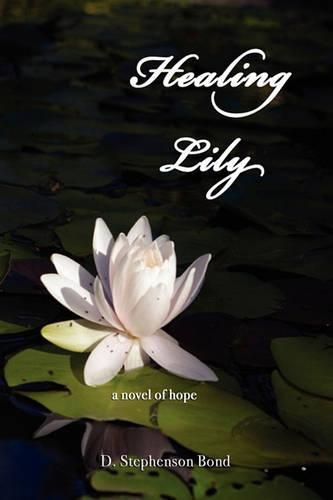 Cover image for Healing Lily: A Novel of Hope