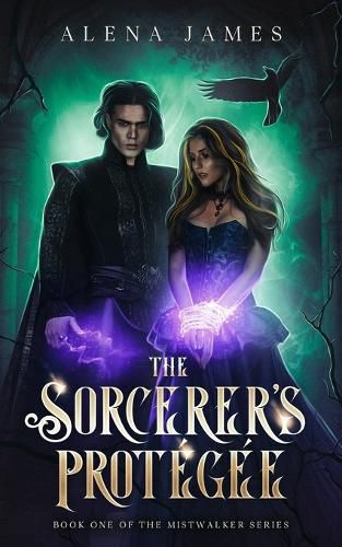 Cover image for The Sorcerer's Protegee