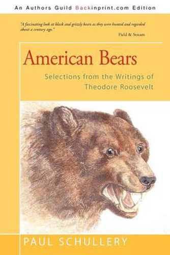 Cover image for American Bears