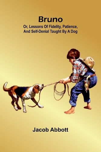 Cover image for The Chaperon (Edition1)
