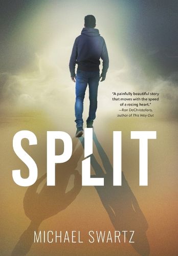 Cover image for Split