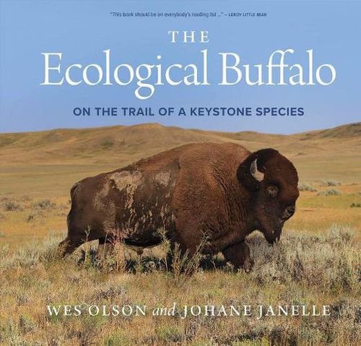 Cover image for The Ecological Buffalo: On the Trail of a Keystone Species