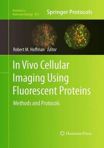 In Vivo Cellular Imaging Using Fluorescent Proteins: Methods and Protocols