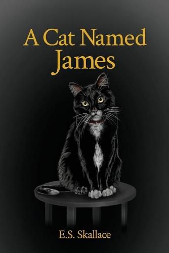 Cover image for A Cat Named James