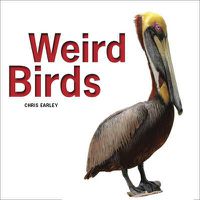 Cover image for Weird Birds