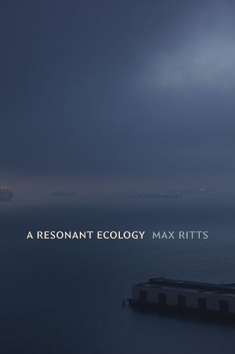 Cover image for A Resonant Ecology