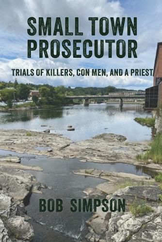 Cover image for Small Town Prosecutor