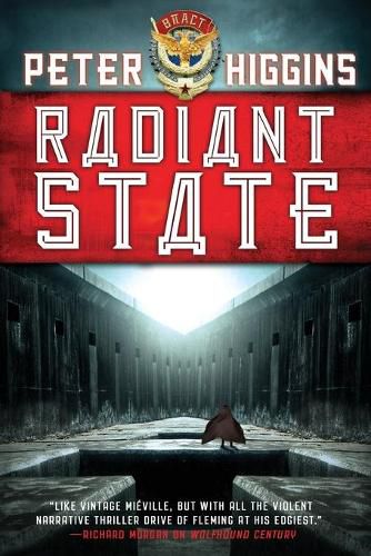 Cover image for Radiant State