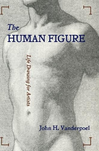 Cover image for The Human Figure