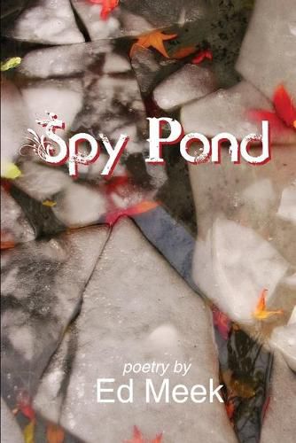 Cover image for Spy Pond