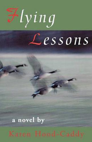 Cover image for Flying Lessons