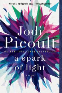 Cover image for A Spark of Light: A Novel