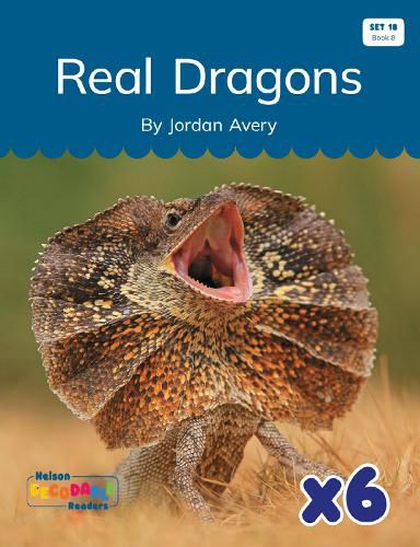 Cover image for Real Dragons x 6 (Set 18, Book 8)