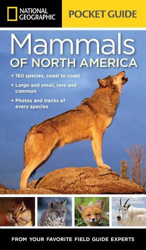 Cover image for National Geographic Pocket Guide to the Mammals of North America