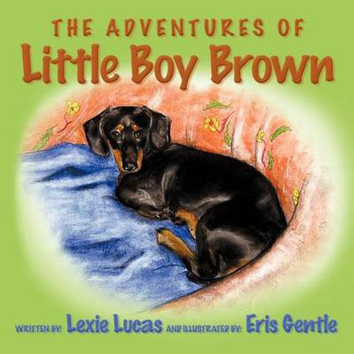 Cover image for The Adventures of Little Boy Brown