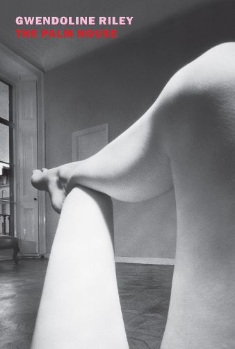 Cover image for The Palm House