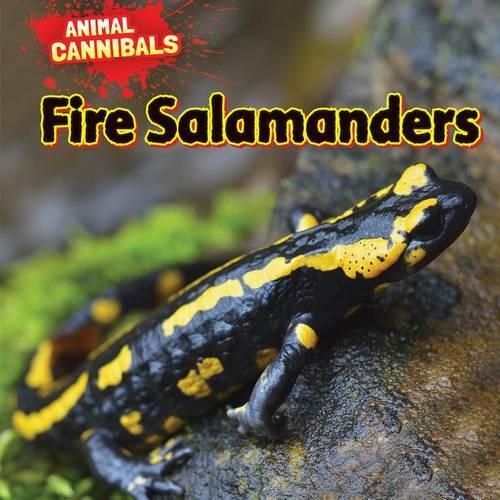 Fire Salamanders