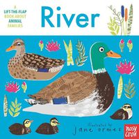 Cover image for Animal Families: River