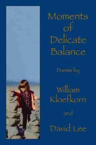 Cover image for Moments of Delicate Balance