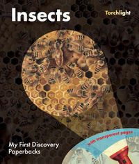 Cover image for Insects