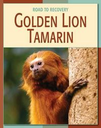 Cover image for Golden Lion Tamarin