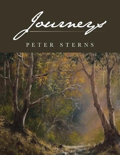 Cover image for Journeys