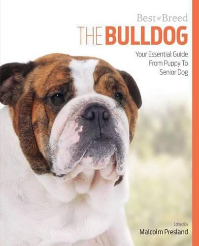 Cover image for Bulldog Best of Breed