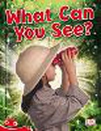 Cover image for Bug Club Level  3 - Red: What Can You See? (Reading Level 3/F&P Level C)