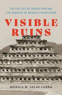 Cover image for Visible Ruins