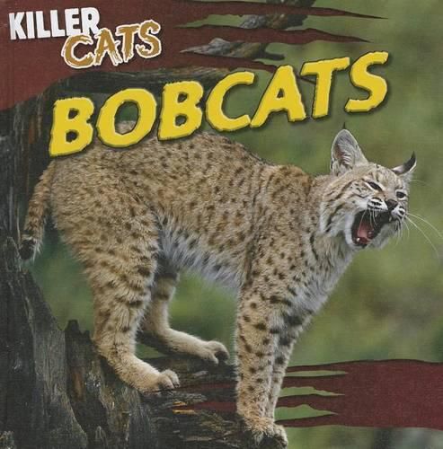 Cover image for Bobcats