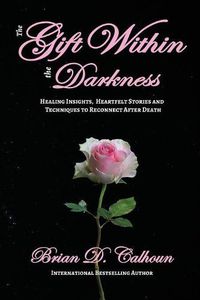 Cover image for The Gift Within the Darkness: Healing Insights, Heartfelt Stories and Techniques to Reconnect after Death