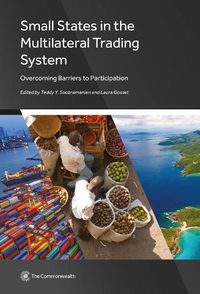 Cover image for Small States in the Multilateral Trading System: Overcoming Barriers to Participation